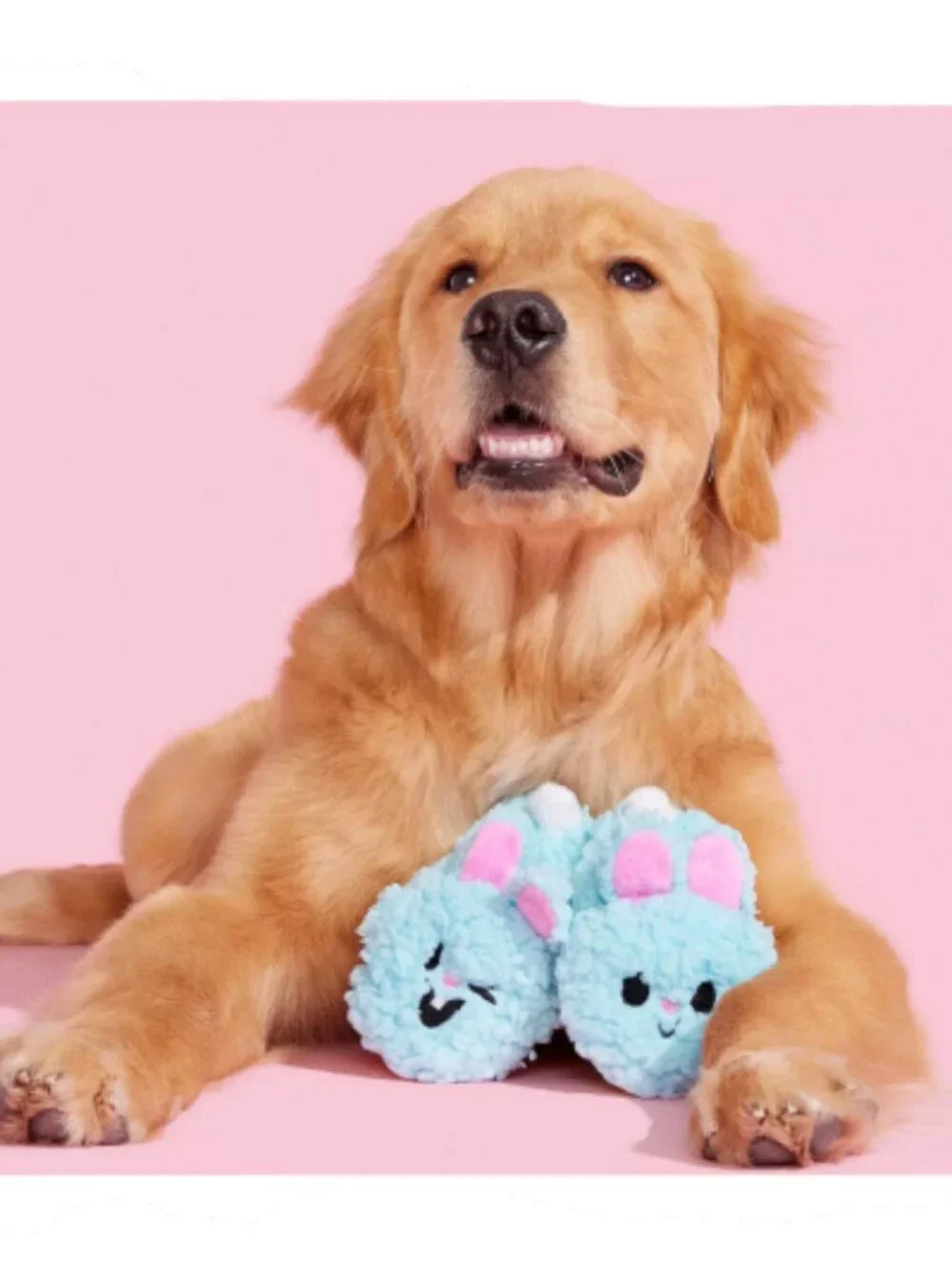 BARK Yippy & Skippy Slippies Dog Toy | Brand New